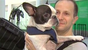 Pilot diverts international flight to save dog's life (Video)