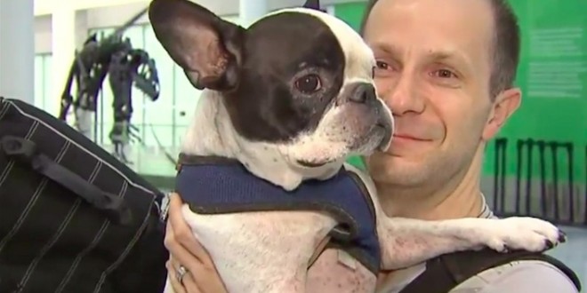 Pilot diverts international flight to save dog’s life (Video)