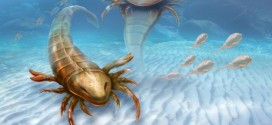 Sea Scorpion : Meet Pentecopterus, a new predator from the prehistoric seas