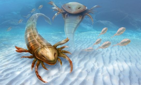 Pentecopterus : This prehistoric sea scorpion was once the most fearsome predator in the ocean “Video”