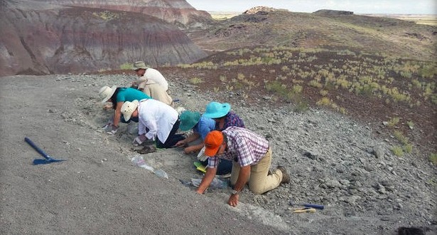 Stephanie Leco : Amateur paleontologist makes rare discovery ‘Photo’