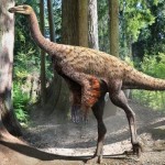 Alberta researcher finds feathers on Ornithomimus dinosaur, Report
