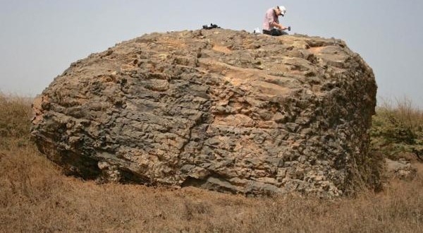 Ancient Megatsunami hit Africa 73000 years ago, scientists say