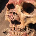 Bronze Age plague wasn't spread by fleas, DNA study shows
