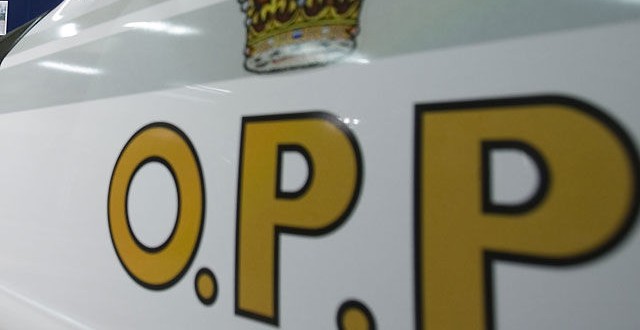 Buffalo struck, killed on QEW in Niagara region, two more on the loose
