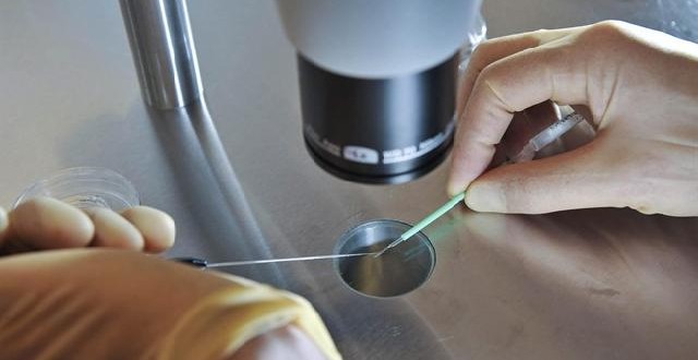 Cost of funding IVF in Quebec a cautionary tale for other jurisdictions, new study says