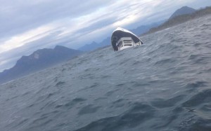 Five drowned after Canada whale-watching boat sinks (Video)