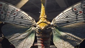 Giant bugs invade the Museum of Nature (Photo)