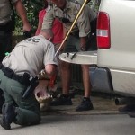 James Okkerse: Swimmer killed by alligator in Florida park