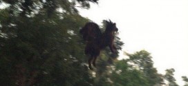 Jersey Devil sighting: 'Devil' Is Pictured Flying Over A Golf Course In America (Video)