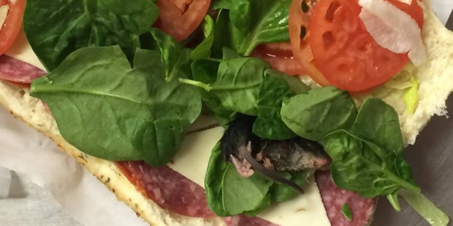 Mouse in Subway sandwich? This Guy Got The Worst Possible “Extra Meat” On His Sandwich “Photo”