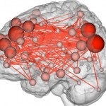 Scans Show People Have a Brain 'Fingerprint,' Yale study