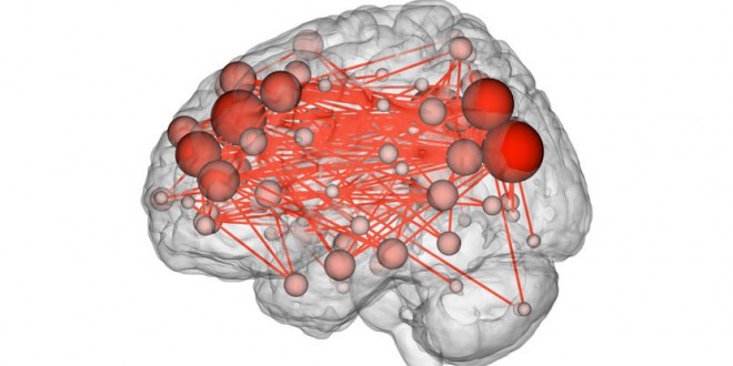 Scans Show People Have a Brain ‘Fingerprint,’ Yale study