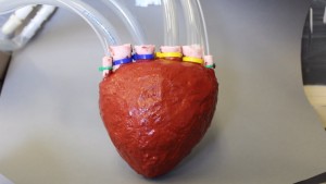 Scientists develop artificial 'foam' heart