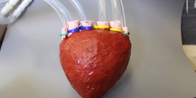Scientists develop artificial ‘foam’ heart