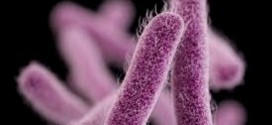 Shigella outbreak affects over 100 people in California, Report
