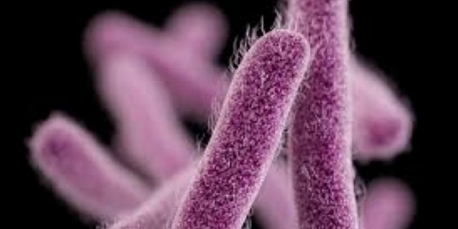 Shigella outbreak affects over 100 people in California, Report