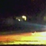 Shocking video shows Ontario police officer slaying coyote