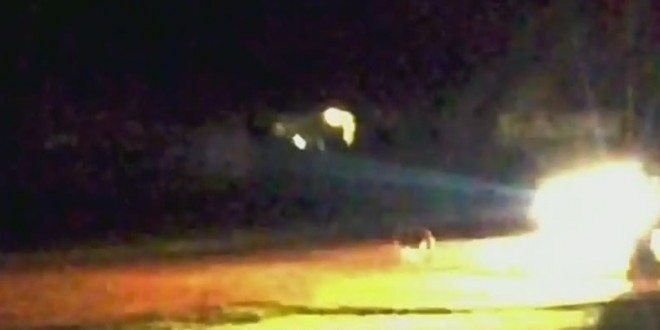 Shocking video shows Ontario police officer slaying coyote