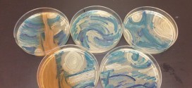 'Starry Night' recreated with bacteria in a petri dish, Report