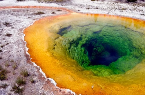 A whiff from blue-green algae likely responsible for Earth's oxygen, says new Research