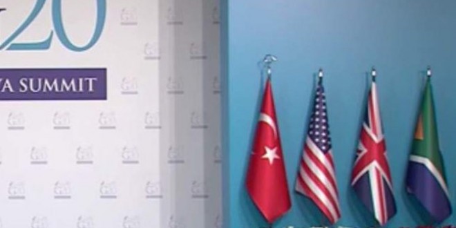 Cats at G20 Summit- Trio of felines makes appearance at annual summit (VIDEO)