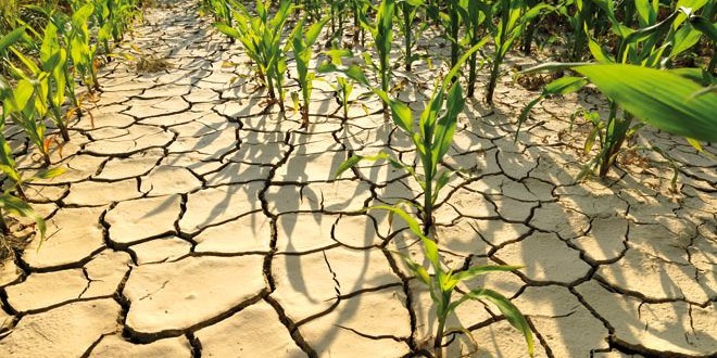Climate Change Threatens Food Security, United Nations Expert Warns