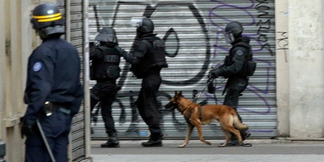 Police dog ‘Diesel’ killed, officers injured in Paris raid (Photo)