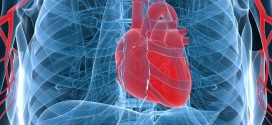 Higher resting heart rate linked to increased risk of death, New Study