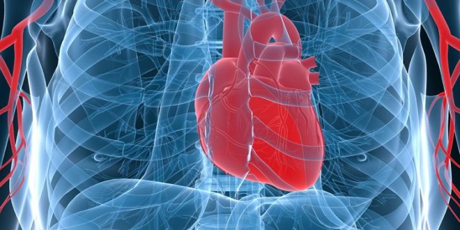 Higher resting heart rate linked to increased risk of death, New Study