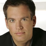 Michael Weatherly: 'NCIS' star charged with driving under the influence