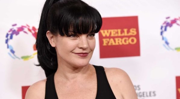 Pauley Perrette: 'NCIS' actress Assaulter Denies Actress' Accusations