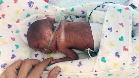 Premature Baby Born on a Cruise Ship is Home in Utah (Video)