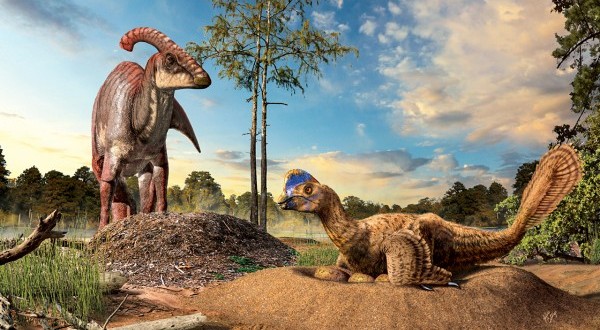 Scientists look at fossilized eggs to explain evolution of dinosaur nests