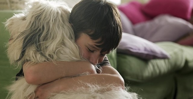 Study shows that dogs reduce ‘anxiety’ in children