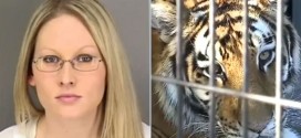Woman Bitten By Tiger After Breaking Into Zoo Enclosure, Police say