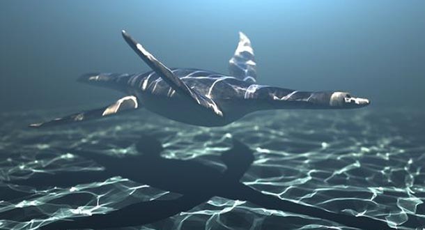 Ancient plesiosaurs flew underwater like penguins, study reports