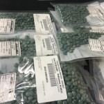 Calgary Police raid gang home: 3500 fentanyl pills seized
