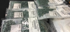 Calgary Police raid gang home: 3500 fentanyl pills seized