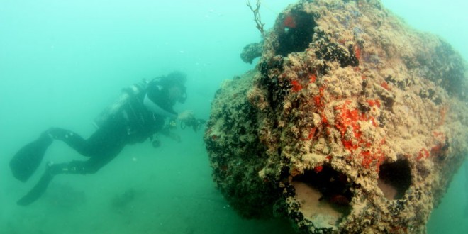 Divers Reveal Plane Sunk In Pearl Harbor Attack (Photo)