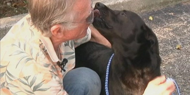 Florida judge declares dog bite law unconstitutional “Report”
