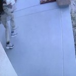 Homeowner tricks package thief into stealing box of dog poop (Video)