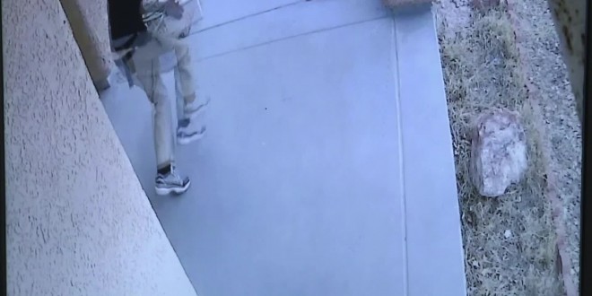 Homeowner tricks package thief into stealing box of dog poop (Video)