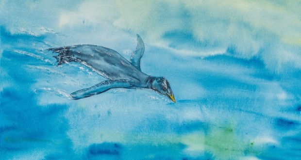 New species of giant flightless bird discovered on Vancouver beach
