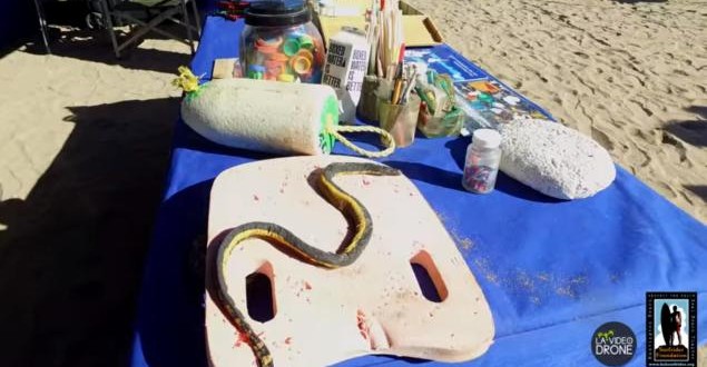 Rare Sea Serpent Washes Ashore: “Venomous yellow-bellied sea snake” spotted on California beach for the second time this year