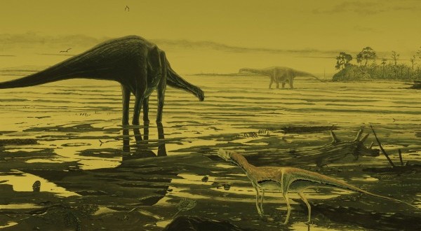 Scotland: 'Dinosaur disco' footprints reveal lifestyle of Jurassic giants