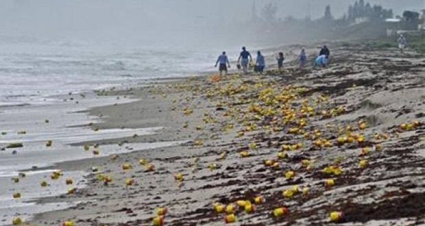 Thousands Of Coffee Cans Wash Ashore On Florida Beach (Video)