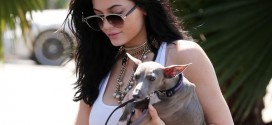 Kylie Jenner: Reality Star Under Investigation for Animal Cruelty