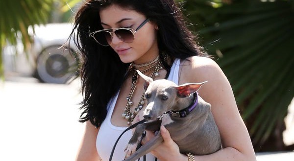 Kylie Jenner: Reality Star Under Investigation for Animal Cruelty
