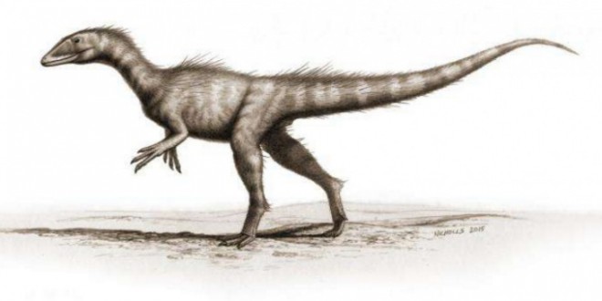 Dracoraptor: “200 Million-Year-Old” Jurassic Dinosaur Found In Wales